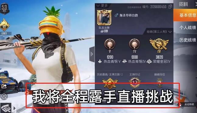和平精英模拟器《鸡腿》外挂支持观战透视
